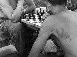 Che ajedrecista, 1962