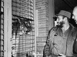 24 de abril. Fidel Castro frente a la jaula del tigre en el Zoologico de Bronx. Foto: Revolución.