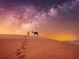 desierto-camello