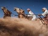 carrera-de-caballos-tercer-lugal-national-geographic-ahmed-al-toqi