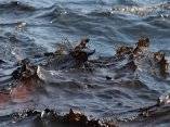 Agua de mar cubierta de petróleo