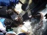 Haití, seis días después del terremoto. Fotos: Boston Globe