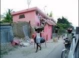 Terremoto en Haiti (Fotos: Twitter)