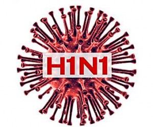 Influenza  A (H1N1) se propaga  con invierno en México 