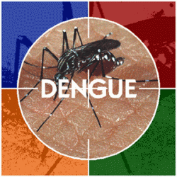 logo-dengue