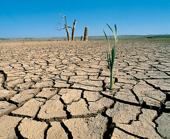 Informe del IPCC: El cambio climático produce riesgos generalizados, pero es posible oponer respuestas efectivas