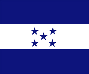 Rechazada propuesta sobre Caso Honduras en la OEA