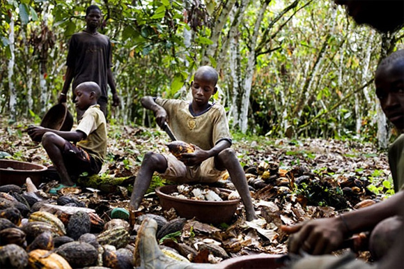 Los gemelos Hassan y Hussein, de ocho años; abren las vainas de cacao en una aldea de Costa de Marfil. Foto CNN