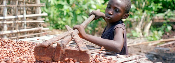 Los niños trabajan hasta 12 horas, utilizan herramientas peligrosas y están expuestos a pesticidas. Fuente LaborRight