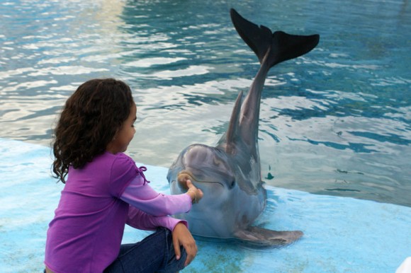 Niños interactuan con los delfines en el Acuario Nacional de Cuba
