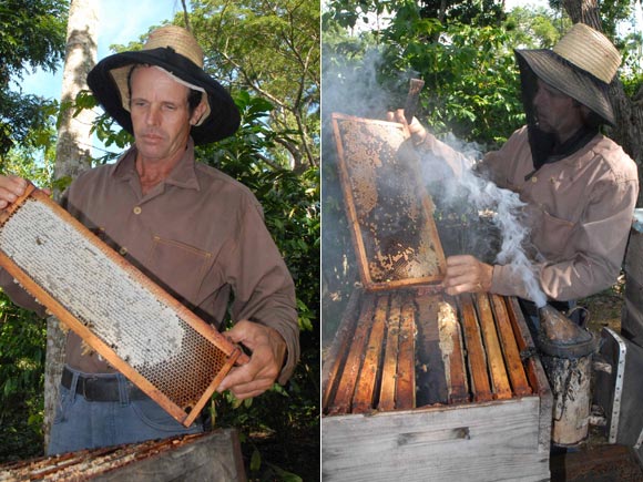 Eliseo Herrera Mangano, el mejor apicultor de Cuba