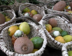 frutas-del-caney