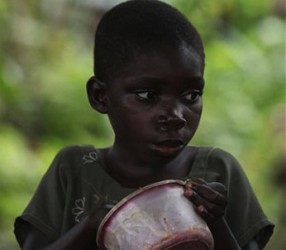 FAO: 1 000 millones de personas sufren de hambre crónica