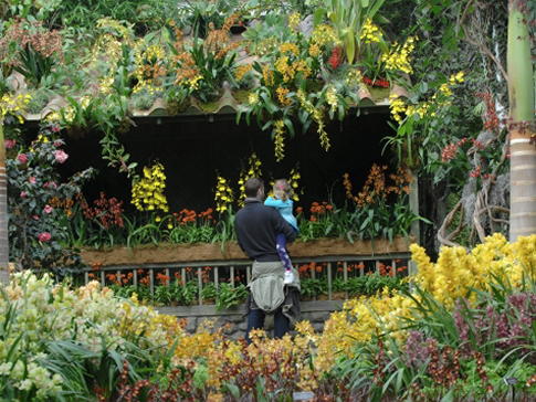 "Cuba in Flower" (Cuba en Flor), replica el Orquidiario de Soroa en el Jardín Botánico del Bronx, en Nueva York.