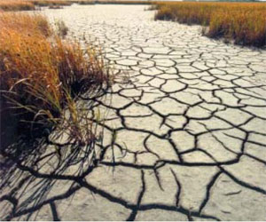 Estudio afirma que el planeta Tierra se está quedando sin agua dulce