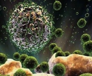 Investigadores descubren proteína que destruye el VIH