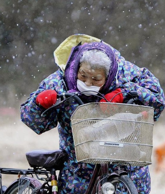 Graves nevadas castigan ahora a la población japonesa.