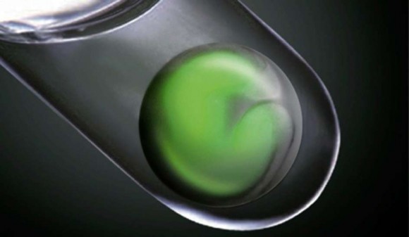 Retina artificial creada por científicos japoneses dentro de un tubo de ensayo. Foto: 
