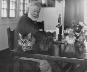 Publican una docena de cartas inéditas de Hemingway que muestran su lado tierno