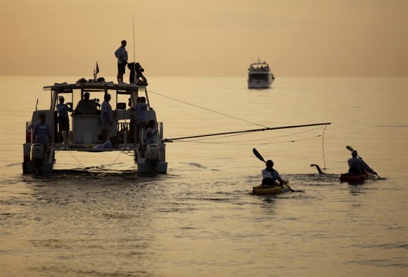 Diana Nyad emprende la aventura acompañada por 3 embarcaciones y dos kayac, pero sin jaula de protección contra tiburones