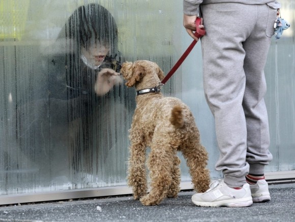 Una niña aislada para pasar la pruebas de detección de radiación mira a su perro a través de una ventana en Nihonmatsu, Japón, el 14 de marzo. (Reuters / Yuriko Nakao)