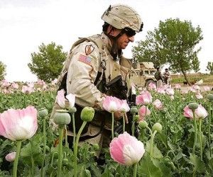 afganistan-drogas