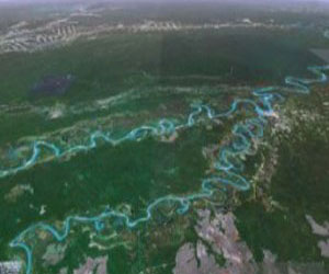 El Río Madera, ocupa el segundo lugar en el mundo por la riqueza de su ictiofauna y se encuentra en la Amazonia Boliviana