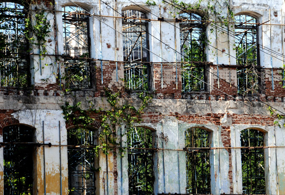 La vegetación cubre algunas ruinas de La Habana. Foto: Ladyrene Pérez/Cubadebate.