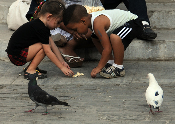 Dar de comer a las palomas en los alrededores del Convento de San Francisco se ha convertido en una tradición habanera. Foto: Ladyrene Pérez/Cubadebate.