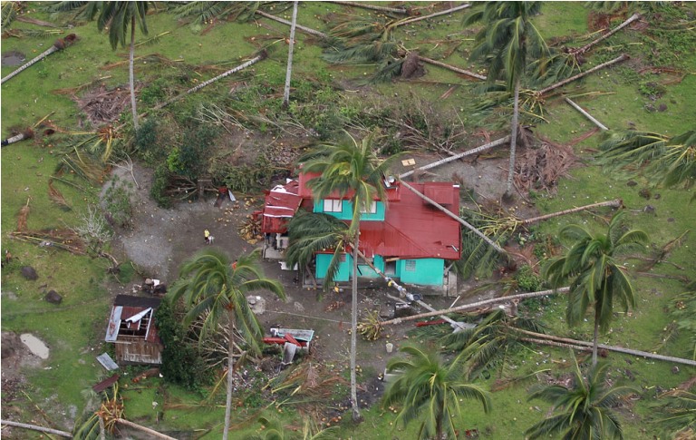 Daños provocados por el tifón Bopha, Filipinas. FOTO: AFP