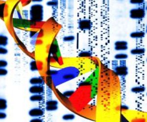 La genética sola no explica la homosexualidad. Foto: age fotostock