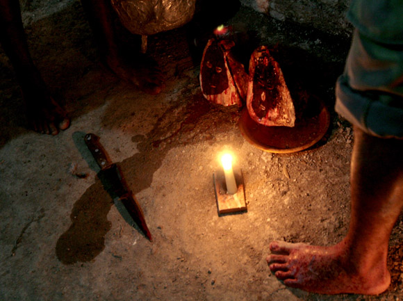 Sacrificion de animales,  en rayamiento, que es la ceremonia de iniciación en la religión de Palo Monte Mayombe. Foto: Ismael Francisco/Cubadebate.