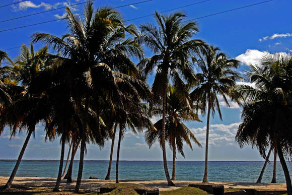 Playa Larga. Ciénaga de Zapata. Foto: Ismael Francisco/Cubadebate.