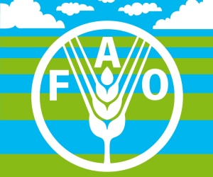 Cuba reclama en la FAO cambios en el sistema alimentario mundial