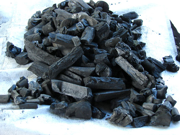 Cuban province exports 21 thousand tons of charcoal a year to Europe