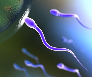 espermatozoide-ovulo1