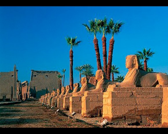 Entre los templos de Luxor y Karnak se encuentra esta gran avenida de más kilómetros de longitud. A ambos lados, custodian el paseo enormes esfinges con cabezas humanas y de carnero.