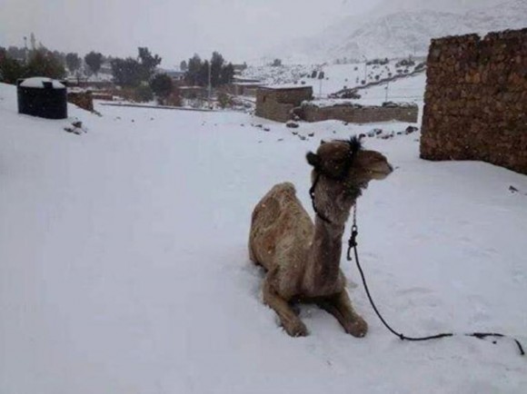 egipto nieve