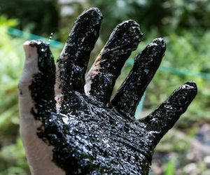 La mano sucia de Chevron queda en evidencia