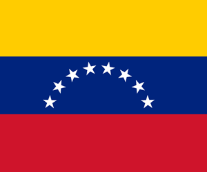 Venezuela: ¿dónde quedó el rigor metodológico?