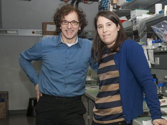Magdalena Paolino, junto a su jefe, Josef Penninger, en el laboratorio del Institute of Molecular Biotechnology de Austria. Foto: AFP.