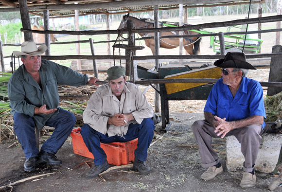 Vaqueros de la Cooperativa de Créditos y Servicios Fortalecida (CCSF) Bienvenido Pardillo de Sancti Spíritus. Foto: Ismael Francisco/Cubadebate.