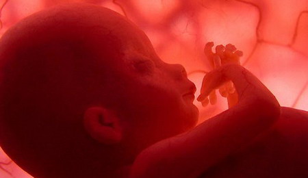 Un portavoz admitió que las autoridades de salud regionales tienen contrato con una empresa que envía desechos biomédicos, entre ellos, tejido fetal a Oregón