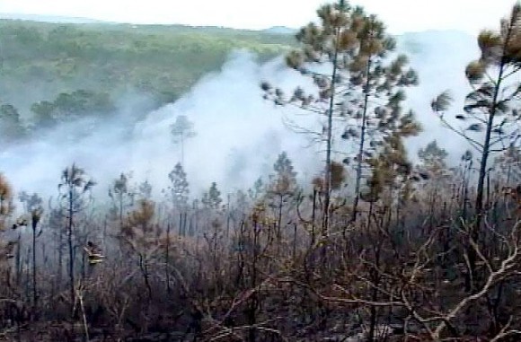 Extinguidos incendios forestales de grandes proporciones en Pinar del Río