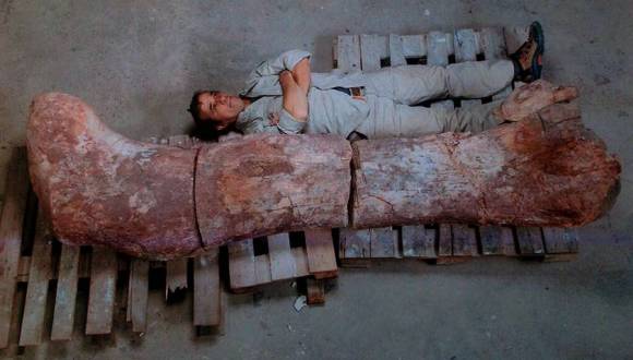 restos del dinosaurio más grande del mundo