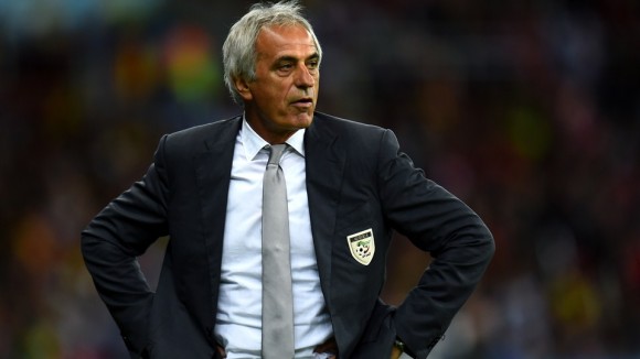 Head coach Vahid Halilhodzic of Algeria looks on during the 2014 FIFA World Cup Brazil Round of 16 match between Germany and Algeria