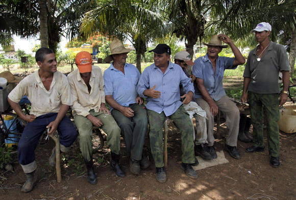 Trabajadores del organopónico Rigoberto Corcho López, de referencia nacional. Foto: Ismael Francisco/Cubadebate.
