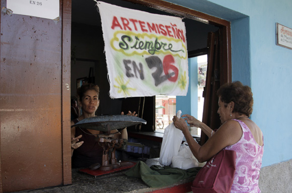 Artemisa en 26. Foto: Ismael Francisco/Cubadebate.