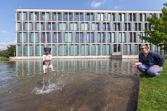 Frente a la corte Federal del Trabajo en Erfurt, Alemania, una mujer juega con su mascota mientras se baña en la fuente. Foto: Michael Reichel/AFP.
