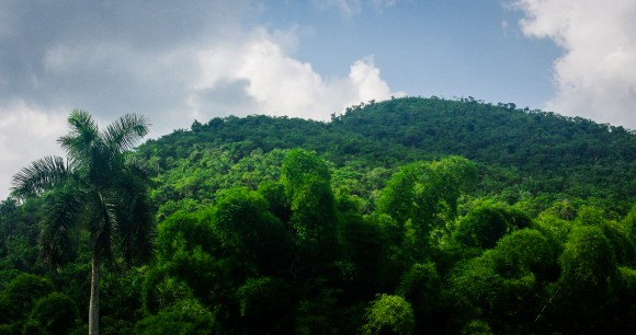Comunidad Las Terrazas, actualmente provincia Artemisa. La zona es reserva de la biosfera y está ubicada en la Sierra del Rosario. Foto: Daniel Jesús González Quiñones./ Cubadebate